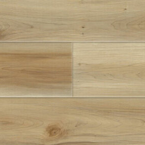 Amur Maple
